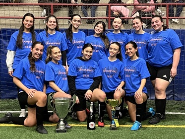 Fc2 playoffs fc vipers